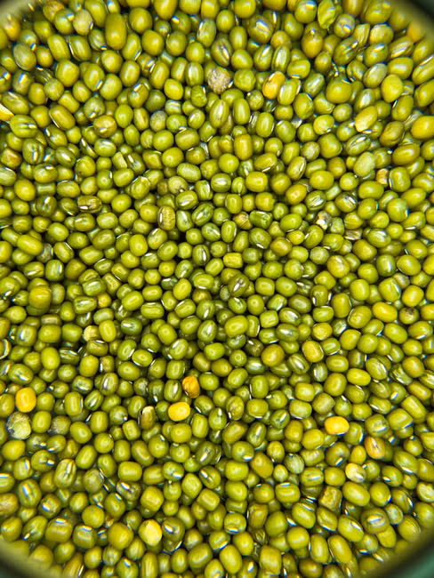 Macarrão Espaguete (500g)